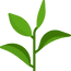 Icon für Serviceleistungen der Leistungen der GartenBaumschule Lehnert - Bodendecker, Obstbäume, Rosen, Ziersträucher und Heckenpflanzen aus Sangerhausen