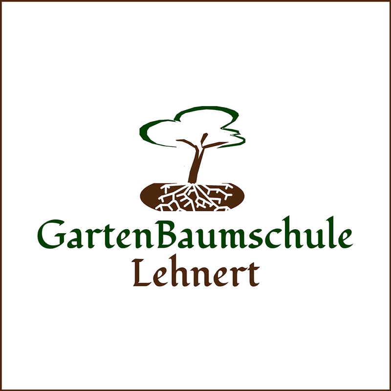 Kletterrosen im Sortiment der GartenBaumschule Lehnert - Bodendecker, Obstbäume, Rosen, Ziersträucher und Heckenpflanzen aus Sangerhausen
