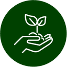 Icon für Angebote von GartenBaumschule Lehnert - Bodendecker, Obstbäume, Rosen, Ziersträucher und Heckenpflanzen aus Sangerhausen