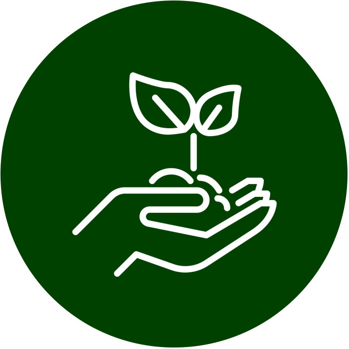 Icon für Angebote von GartenBaumschule Lehnert - Bodendecker, Obstbäume, Rosen, Ziersträucher und Heckenpflanzen aus Sangerhausen